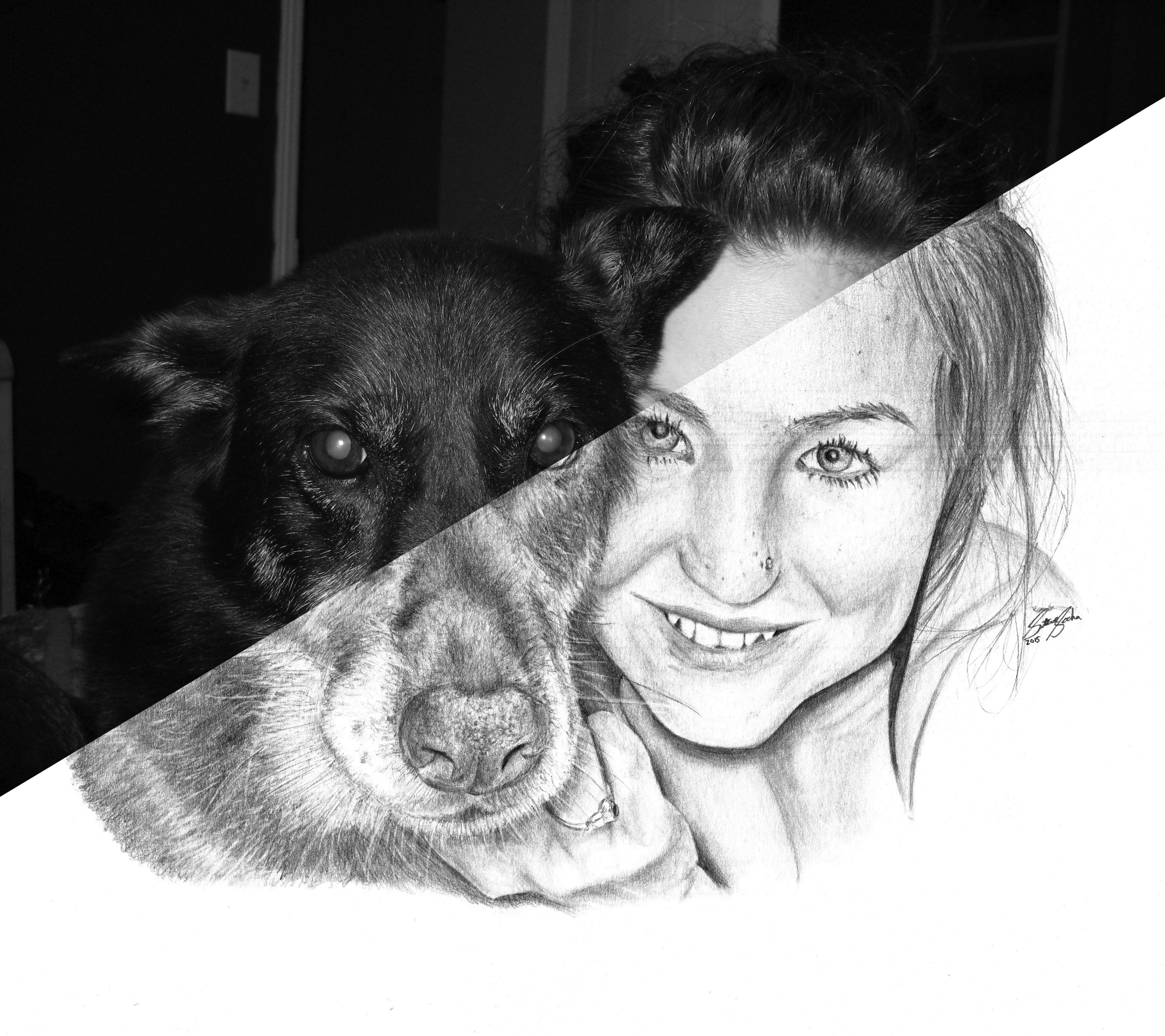 15 sasha dog drawing split