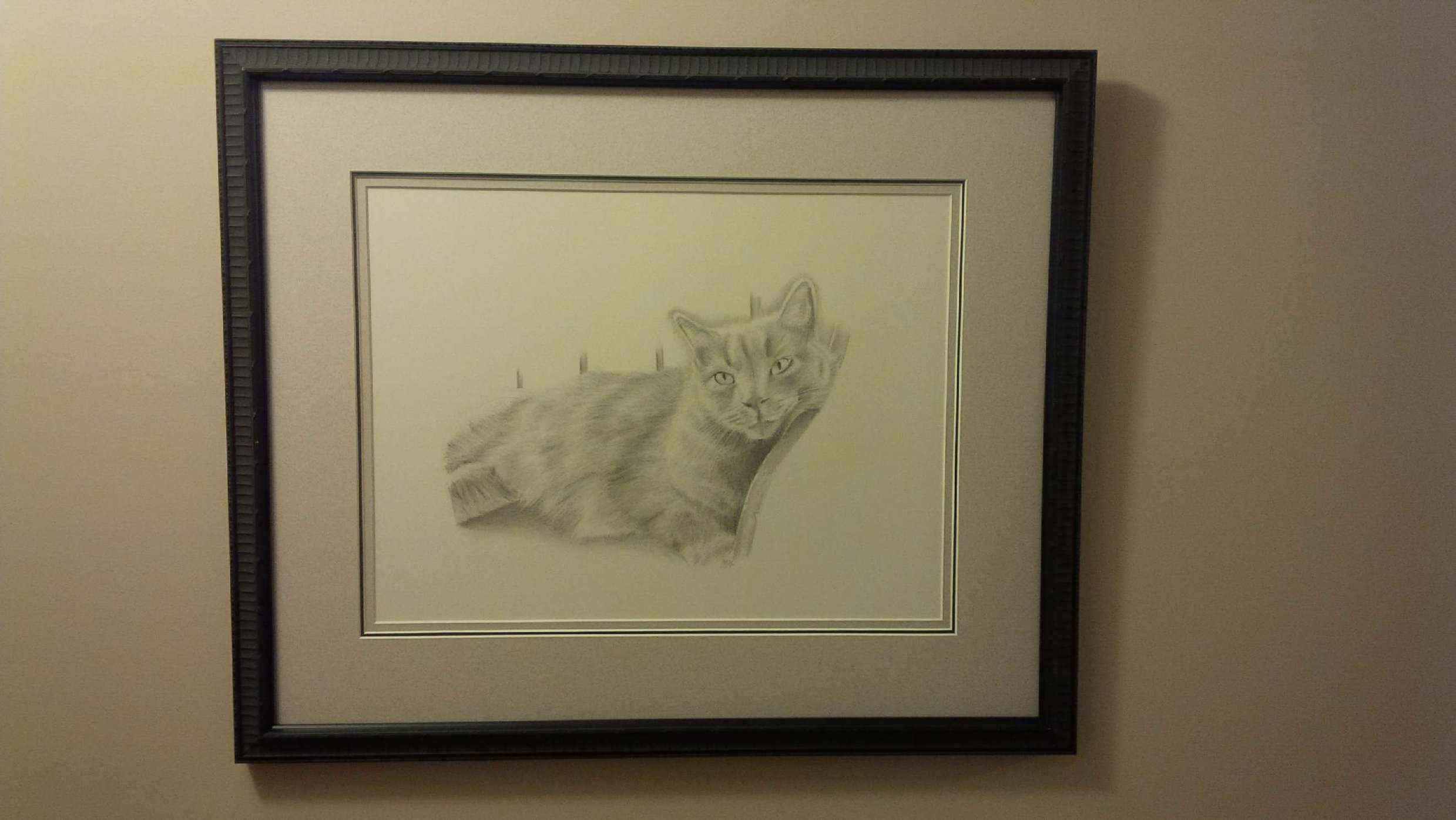 pippin cat drawing framed