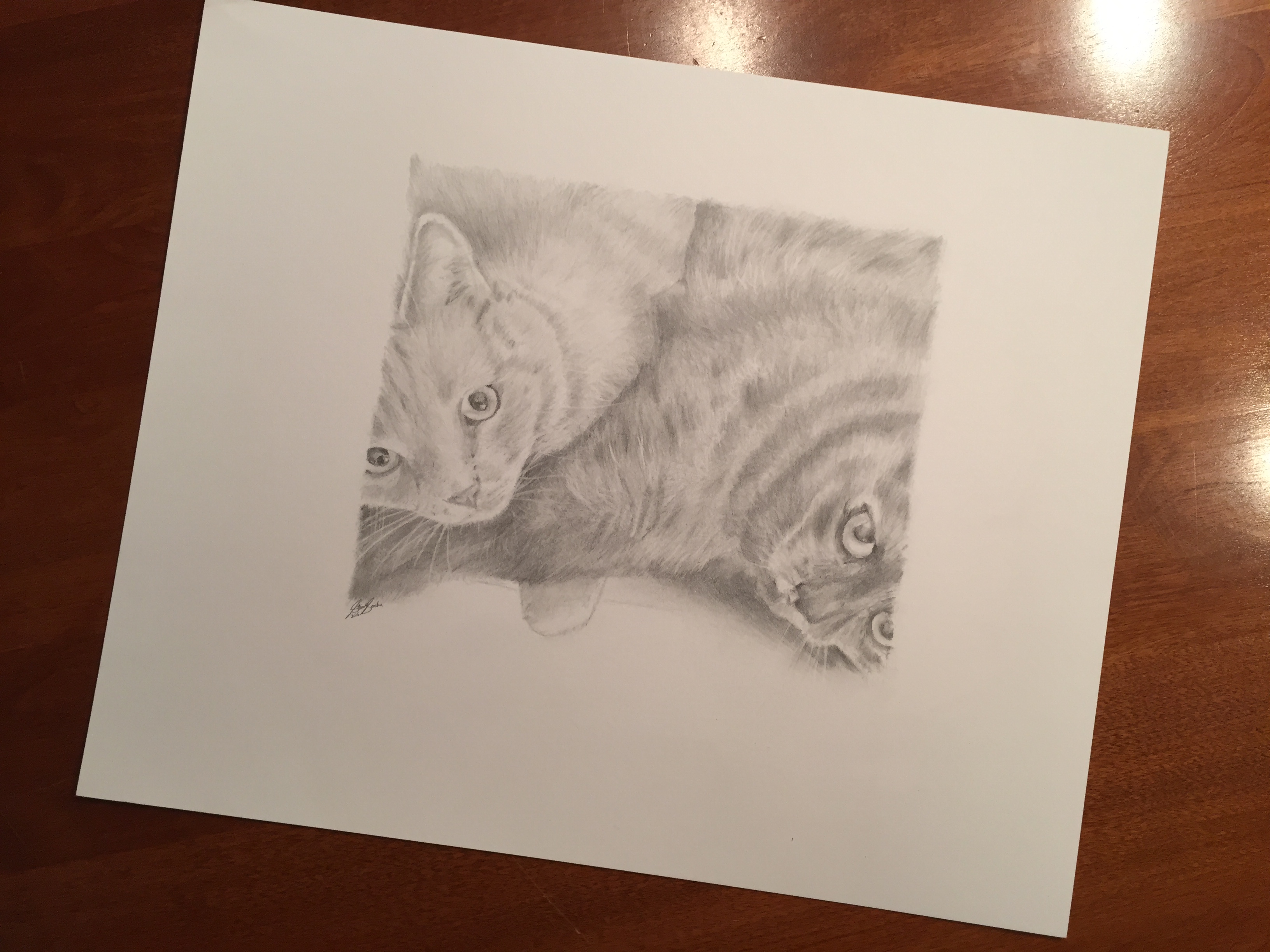 mother son cat drawing steve socha2