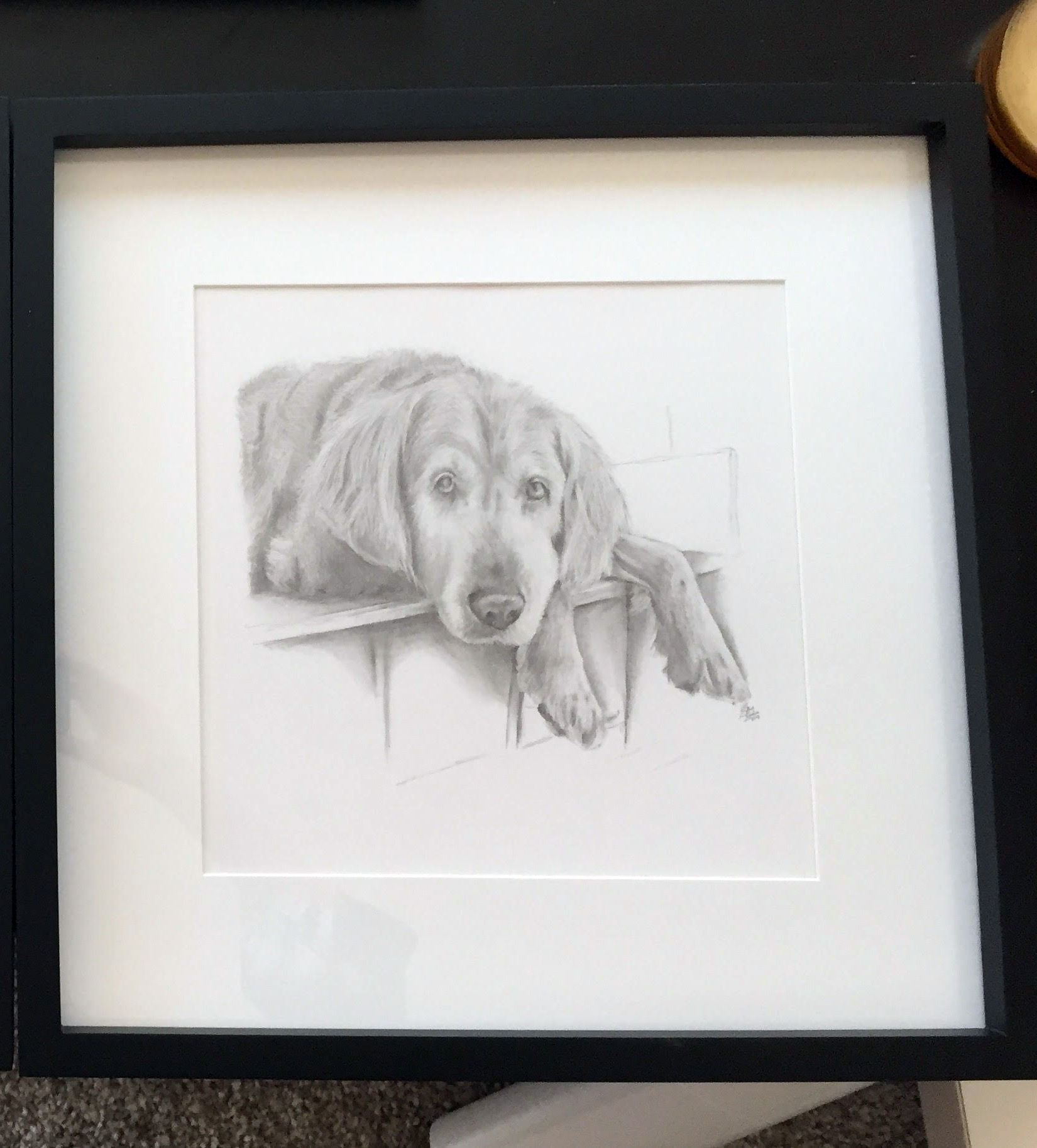 nero dog drawing framed