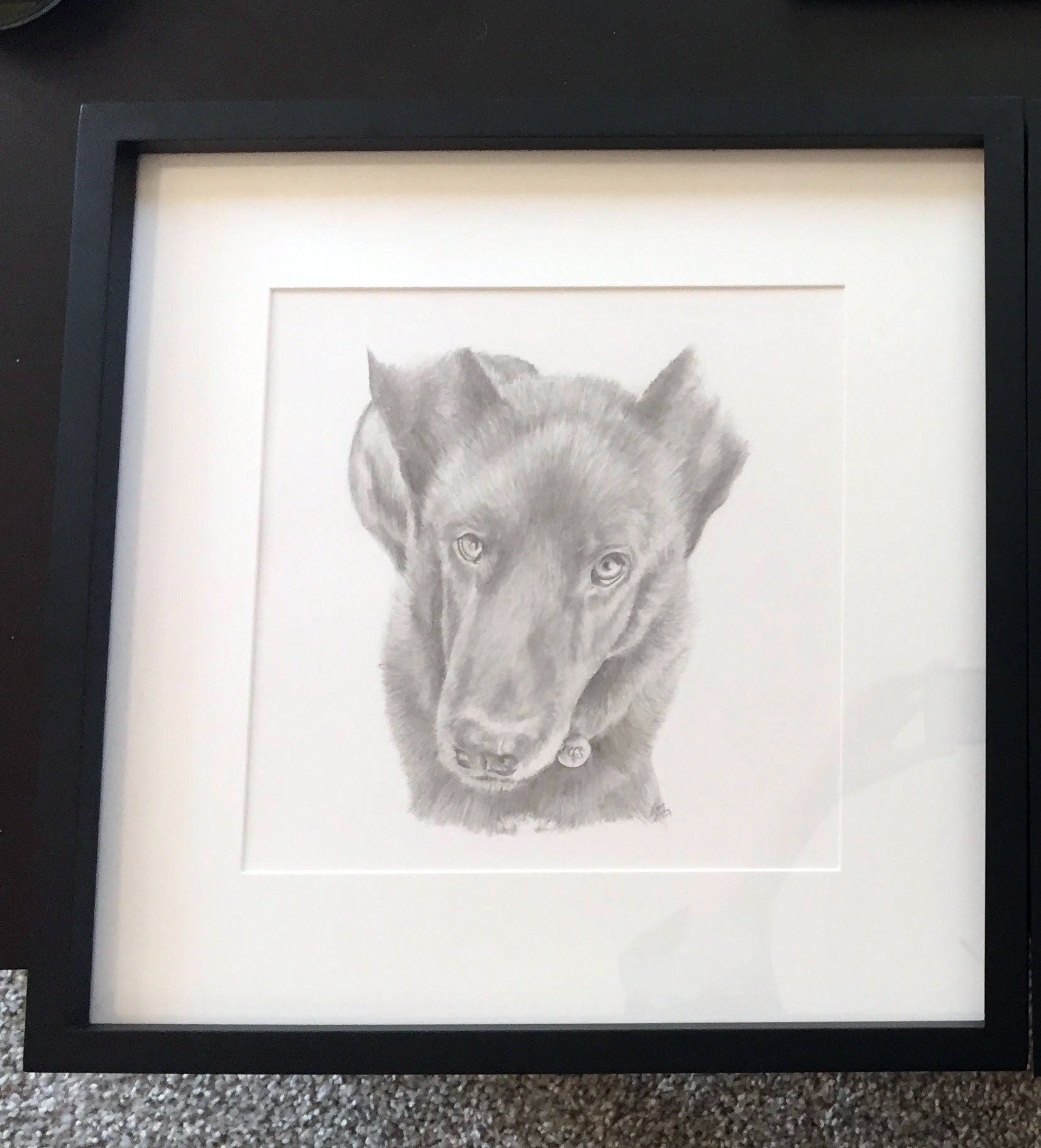 roggs dog drawing framed