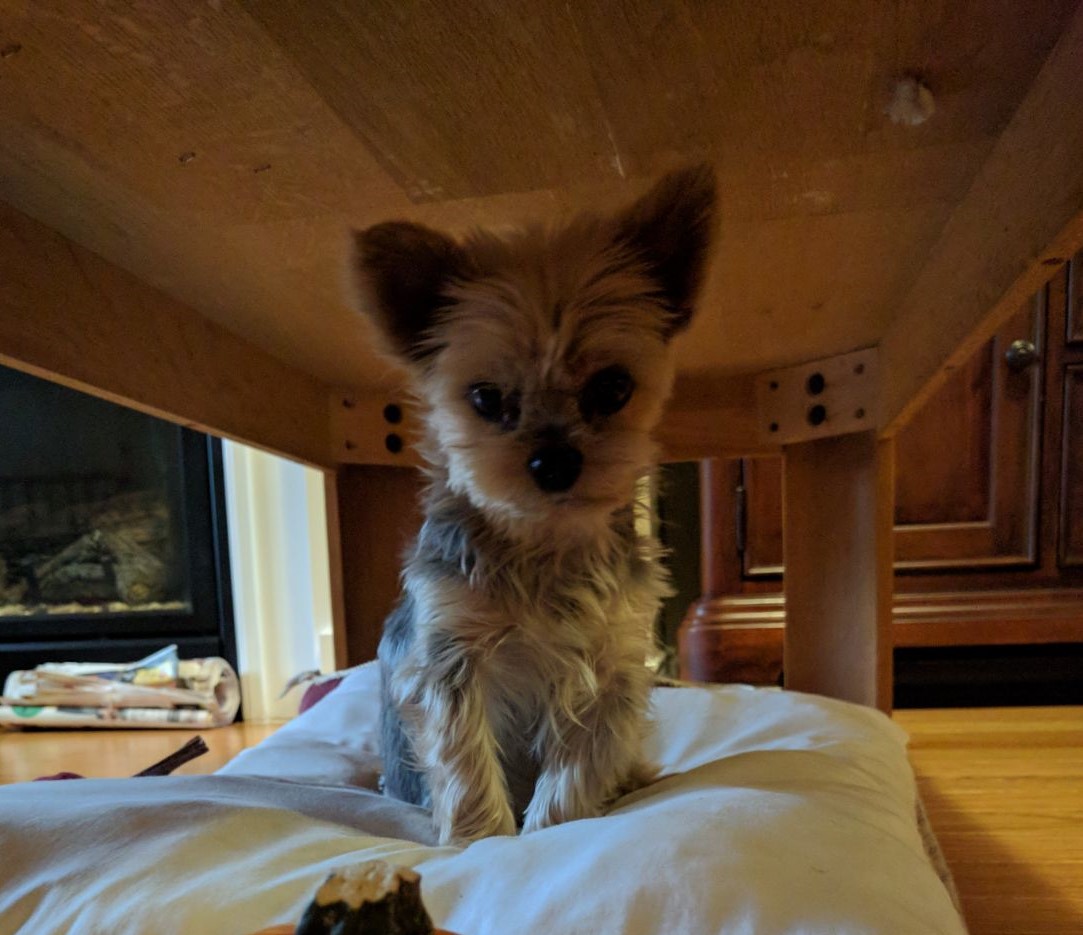 IMG-20171030-WA0002 (2)