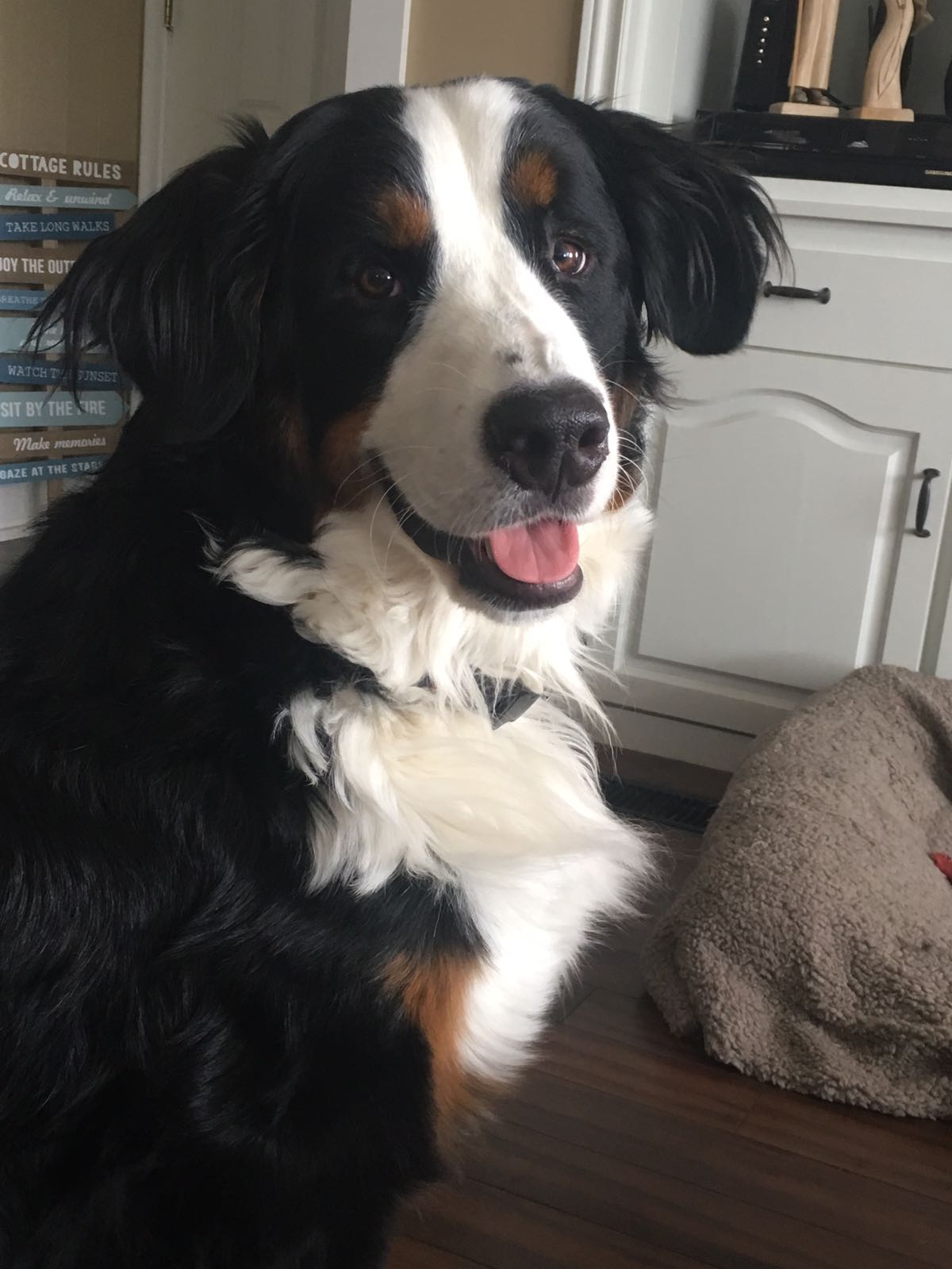 c9d37338-8741-4ca7-97ae-ac0385891273