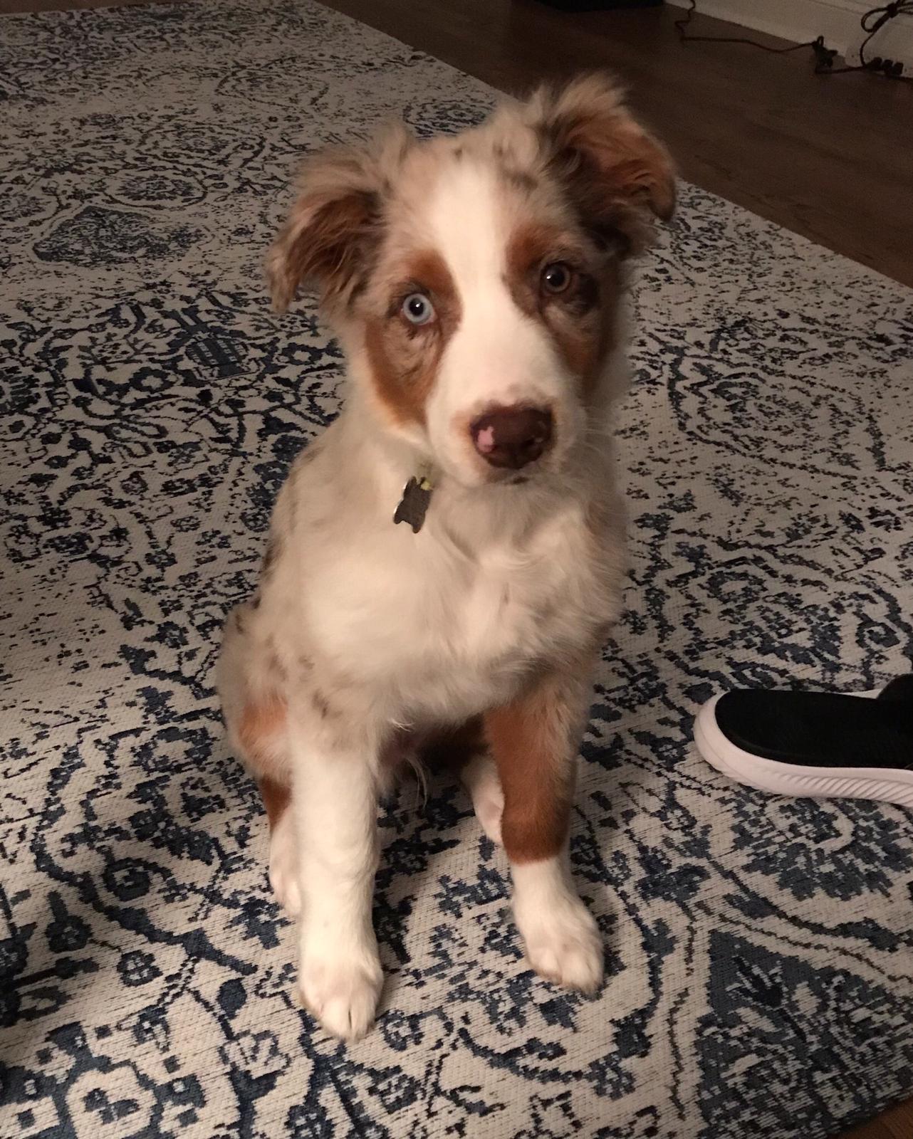 fef215fe-7fac-4f59-b7c9-254516496bf4 (1)