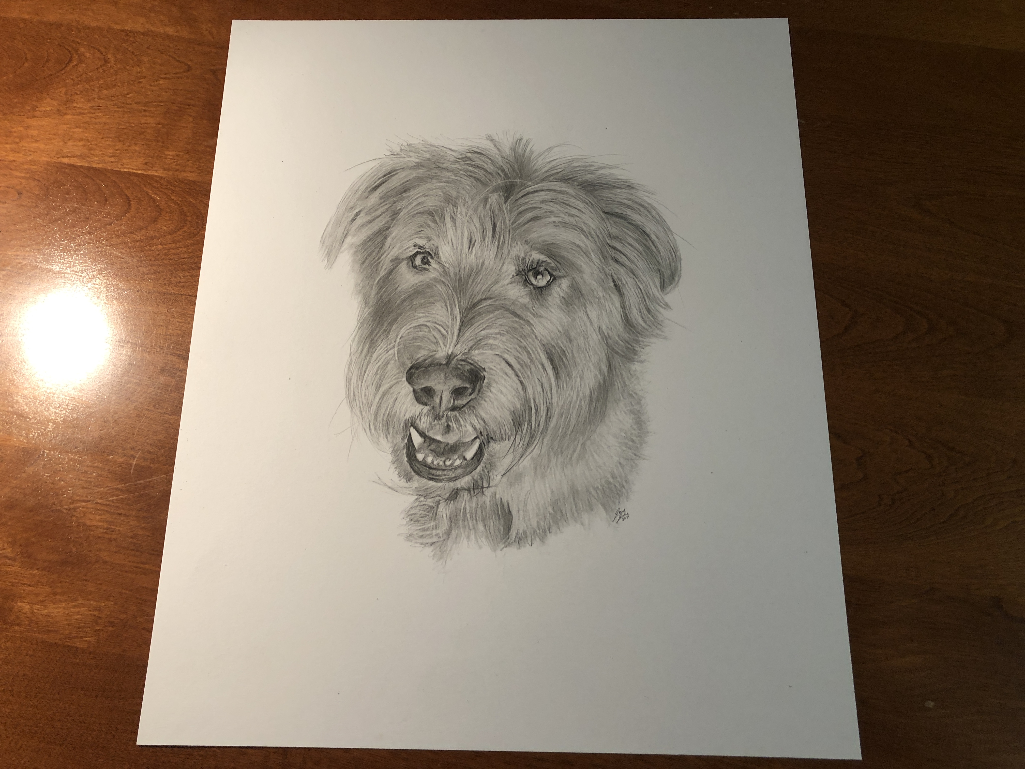 Henry dog drawing table