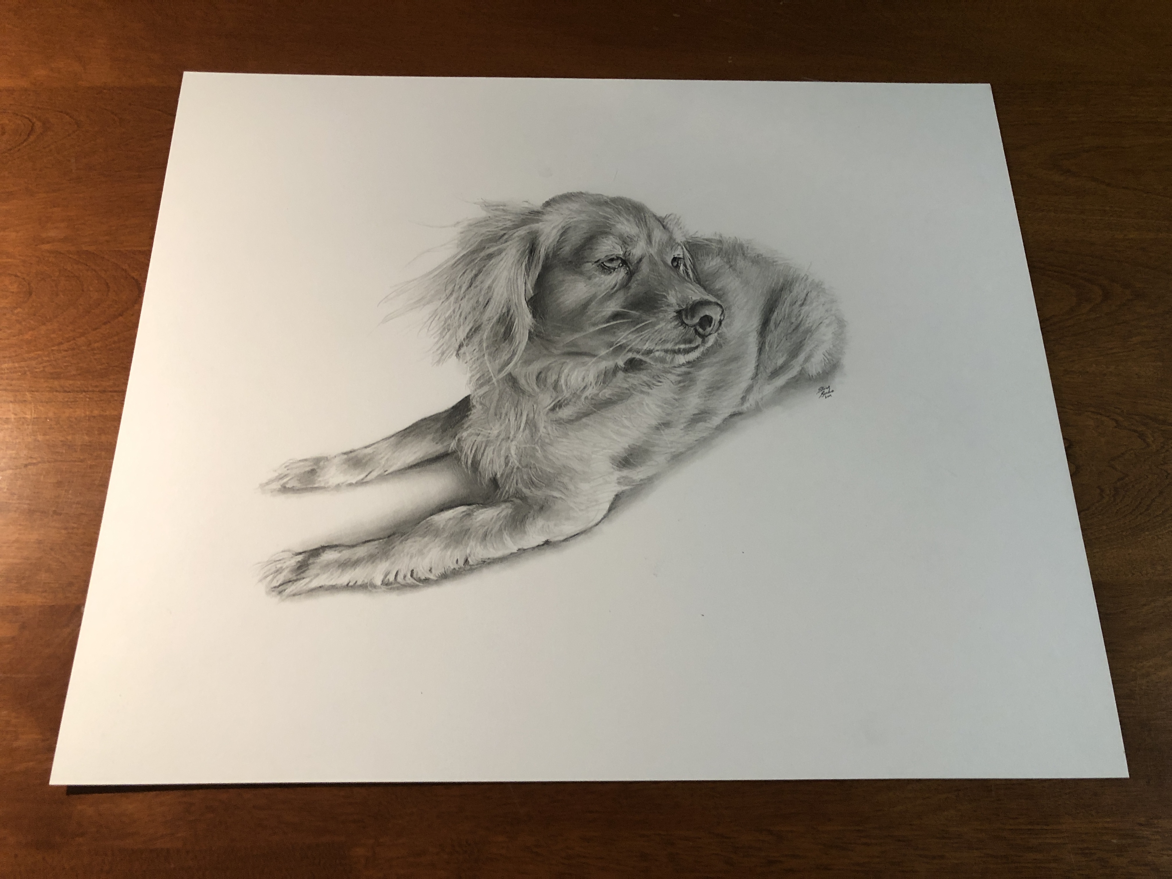 louie dog drawing table