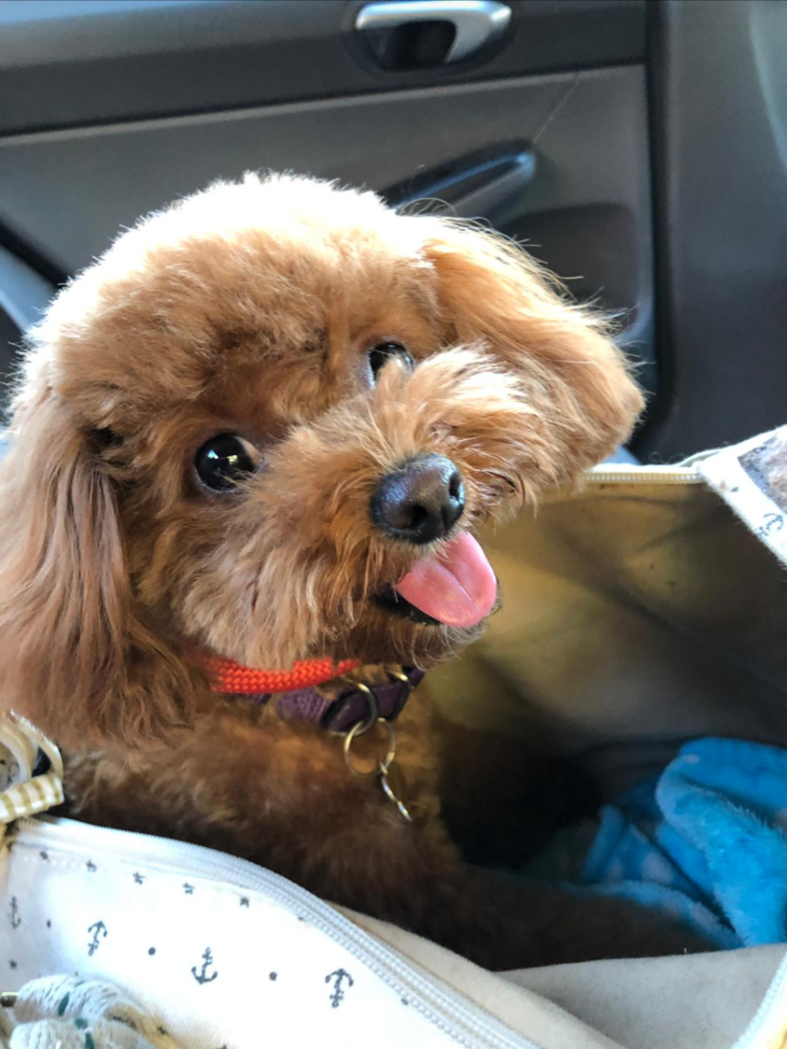 Screenshot_20191016-105018