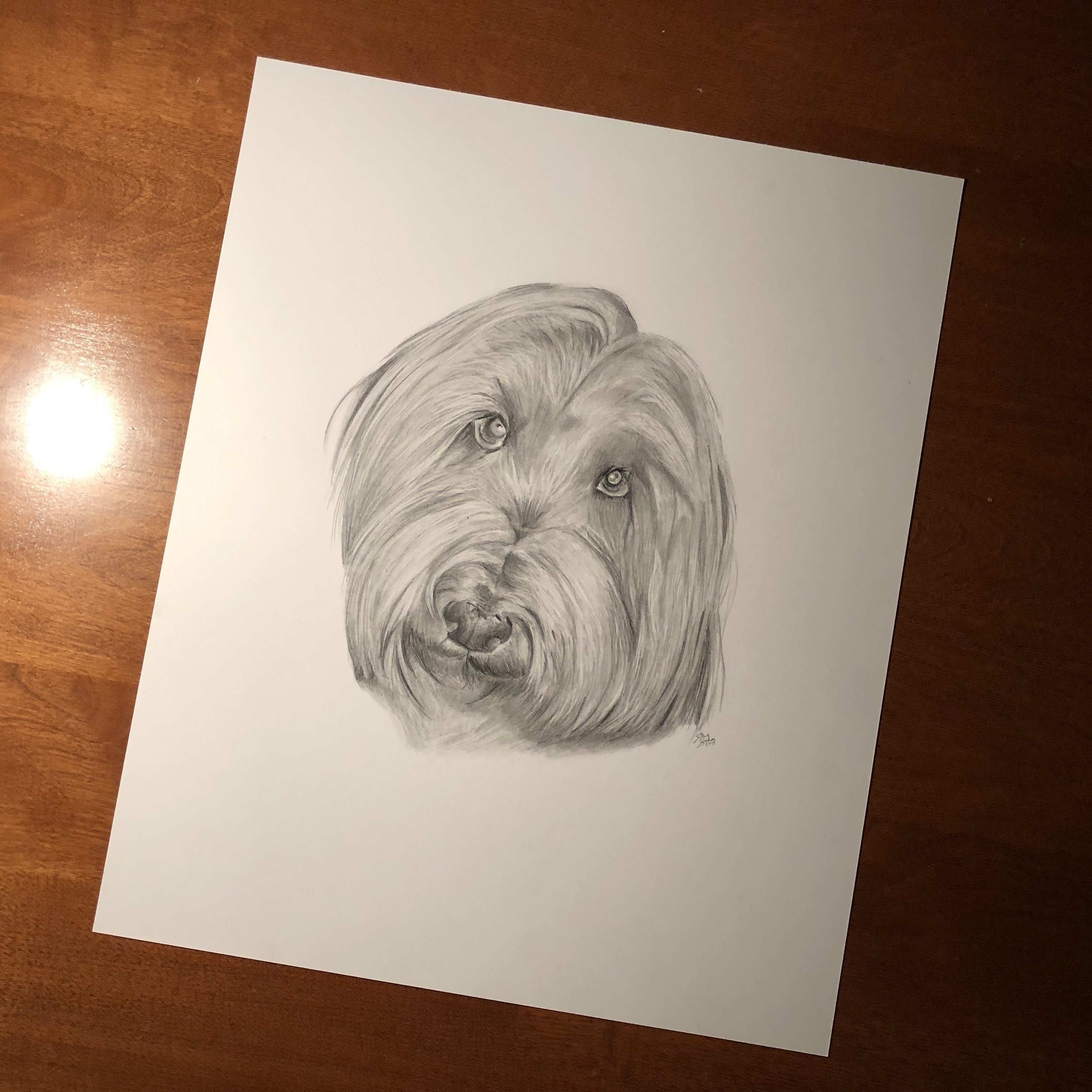 jess dog drawing on table